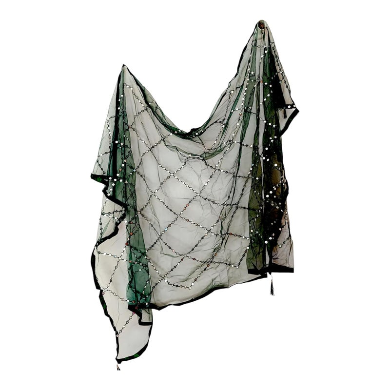 ARIPAN Net mirror sitara dupatta embroidry work sequins for women and girls free size 2m pack of 1pcs - Image 1