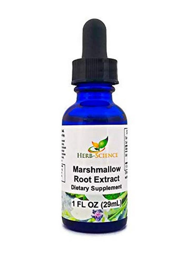 Herb-Science Herb-Science Marshmallow Root Extract Alcohol-Free, 1 Fluid oz  - Image 1
