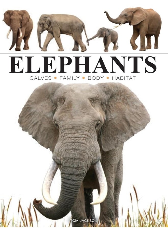 Elephants  - Image 1