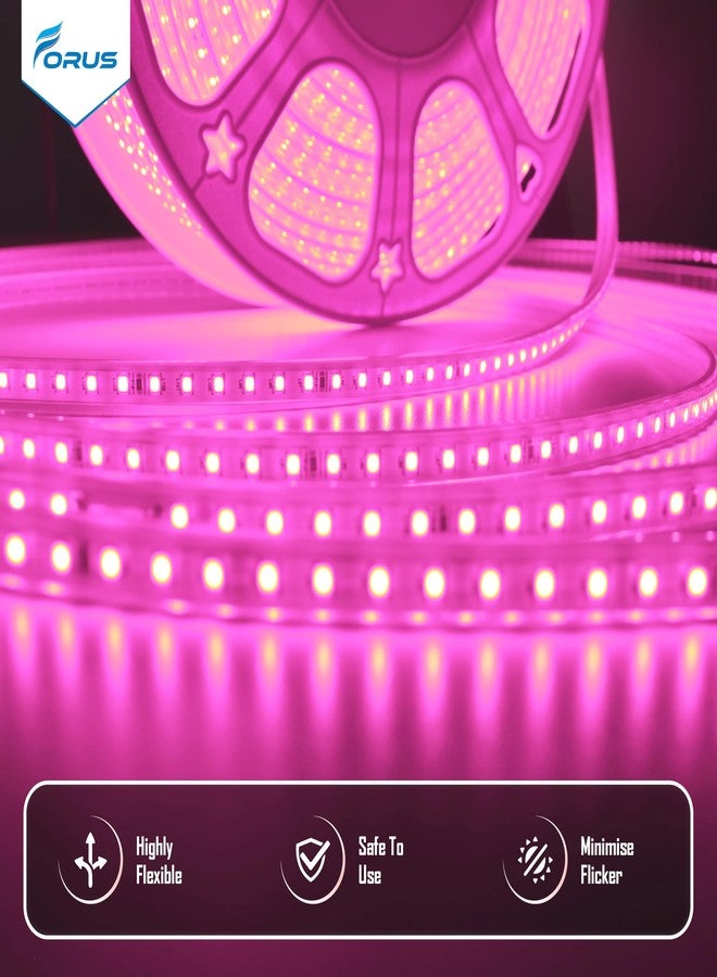 Forus حبل إضاءة LED من فوروس، بطول 10 أمتار، مع ضمان لمدة 6 أشهر، إضاءة خارجية مقاومة للماء، مناسبة للأسقف والشرفات وديكور المنزل والديكور الداخلي، إضاءة مرنة مثالية لأعياد ديوالي وعيد الميلاد - لون وردي - Image 2