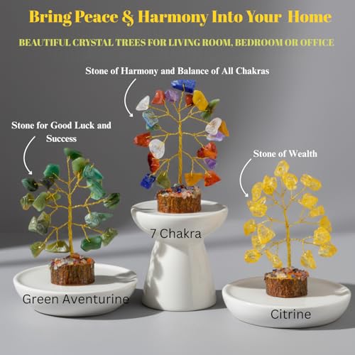ANAYA AGATE Crystal Tree Gift for Women, Set of 12 Handcrafted Chakra Tree of Life, Crystals and Healing Stones for Positive Energy, Good Luck Home and Office Desk Decor Birthday Gifts for Mom Love Ones - Image 3