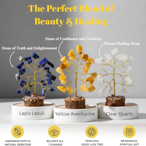 ANAYA AGATE Crystal Tree Gift for Women, Set of 12 Handcrafted Chakra Tree of Life, Crystals and Healing Stones for Positive Energy, Good Luck Home and Office Desk Decor Birthday Gifts for Mom Love Ones - Image 4
