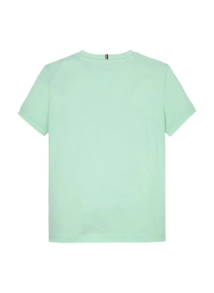 TOMMY HILFIGER Kids Flag Mascot Crew Neck T-Shirt