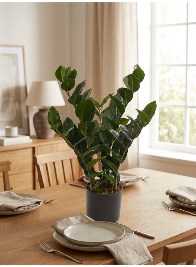 Noon East Zamioculcas 50cm Tall Artificial Plant with Pot | Desk Plant with Lifelike Design & Texture - Green | Decorative Natural Texture Plant for Home, Living Room, Study & Office spaces - Image 5