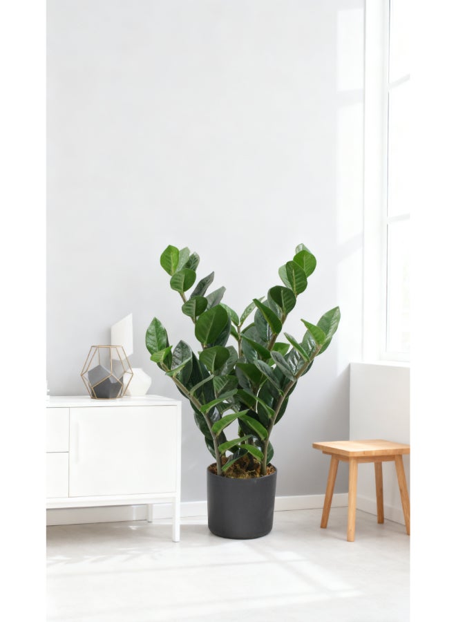 Noon East Zamioculcas 50cm Tall Artificial Plant with Pot | Desk Plant with Lifelike Design & Texture - Green | Decorative Natural Texture Plant for Home, Living Room, Study & Office spaces - Image 3