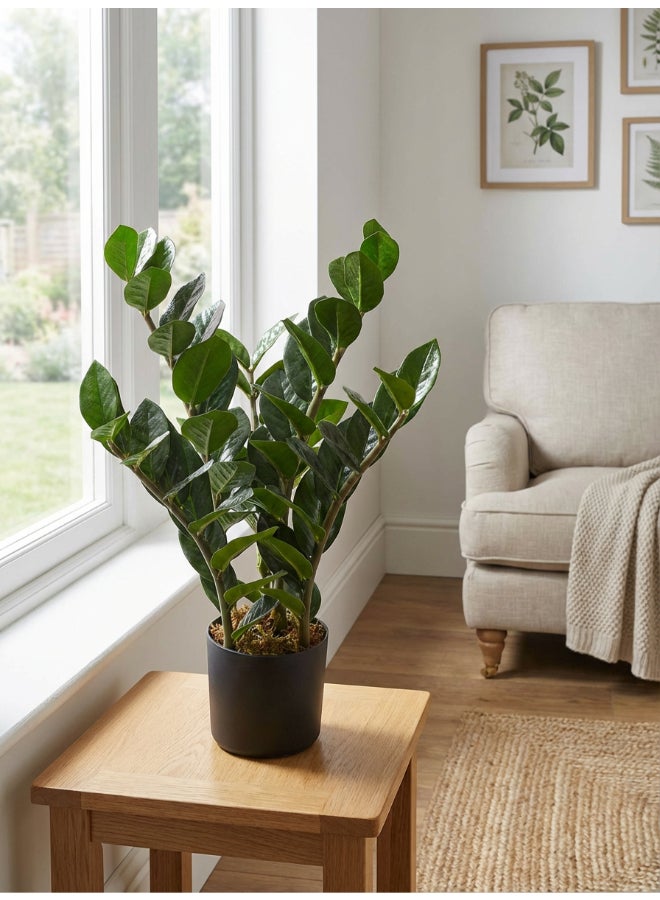 Noon East Zamioculcas 50cm Tall Artificial Plant with Pot | Desk Plant with Lifelike Design & Texture - Green | Decorative Natural Texture Plant for Home, Living Room, Study & Office spaces - Image 4