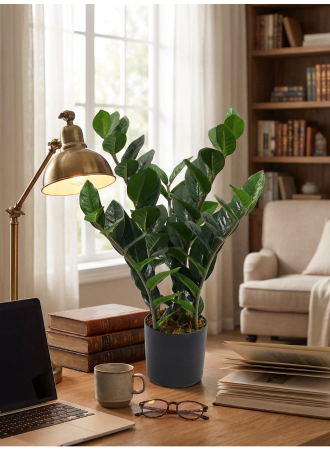 Noon East Zamioculcas 50cm Tall Artificial Plant with Pot | Desk Plant with Lifelike Design & Texture - Green | Decorative Natural Texture Plant for Home, Living Room, Study & Office spaces - Image 2