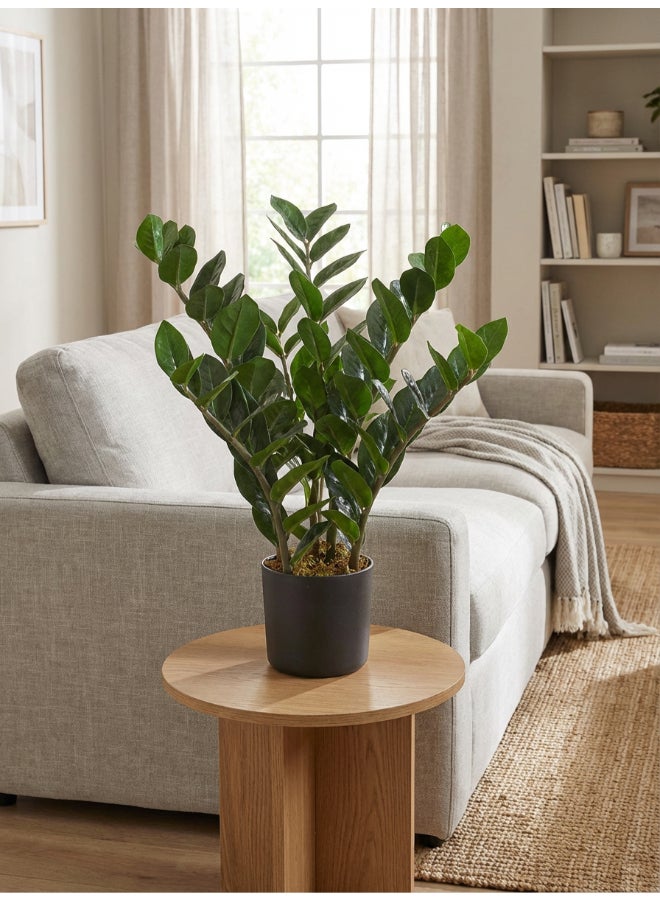 Noon East Zamioculcas 50cm Tall Artificial Plant with Pot | Desk Plant with Lifelike Design & Texture - Green | Decorative Natural Texture Plant for Home, Living Room, Study & Office spaces - Image 1