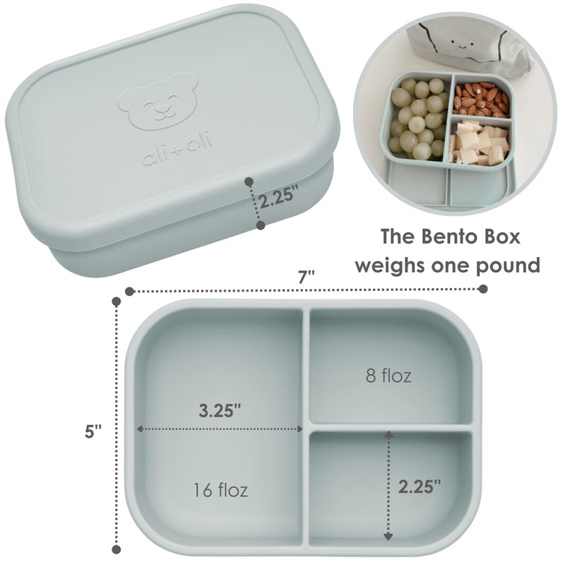 Ali+Oli Silicone Bento Box (Blue) Lunch Box for Kids, Toddlers, Preschoolers & Adults | BPA-Free and Spill-Proof | Ideal for School, and On-the-Go Meals| Perfect for Lunch, Snacks, and Meals - Image 2