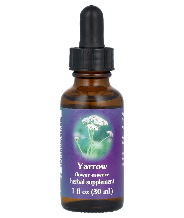 Yarrow Flower Essence 1 fl oz (30 ml)