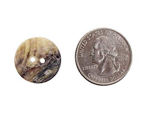 Chichester Inc Akoya Mother of Pearl Shell Buttons: 30L, 0.75", 19mm (384-30L) C10 (50) - Image 2