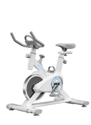 COOLBABY Indoor Cycling Bike for Home Gym - pzsku/ZA17AE8D2630B34C531E7Z/45/_/1721302967/6e912060-93fe-40d5-b0d7-5af056fd5036