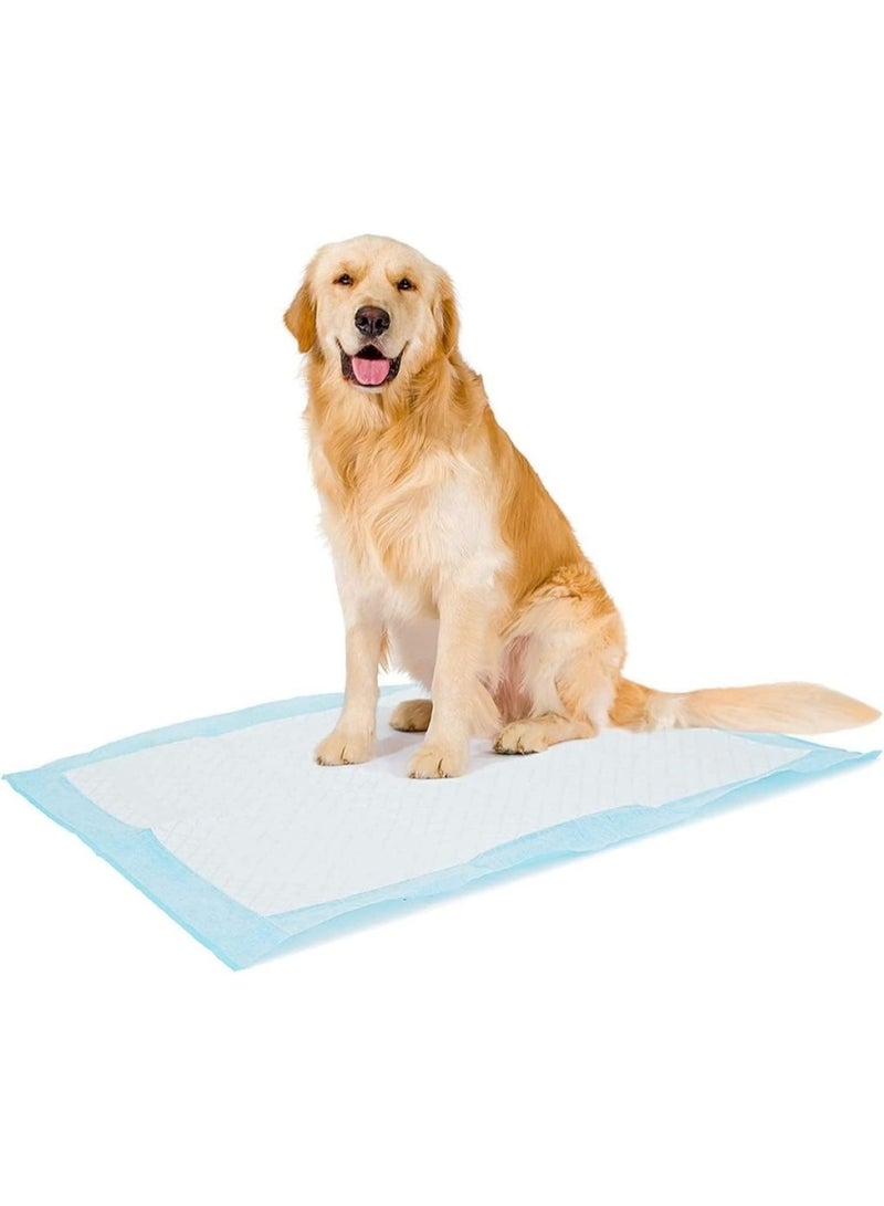 Duvo + Duvo+ Pet Pad Premium Value Pack XL-60x60cm 50pcs - Image 2