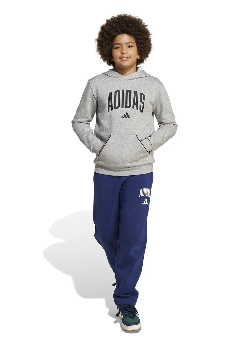 Adidas Seasonals Essentials Collegiate Typography Hoodie Kids