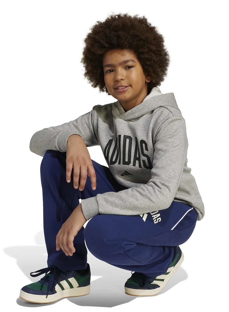 Adidas Seasonals Essentials Collegiate Typography Hoodie Kids