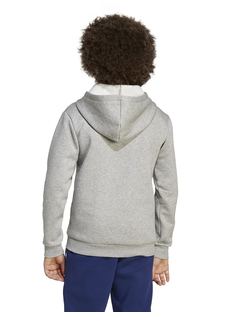 Adidas Seasonals Essentials Collegiate Typography Hoodie Kids