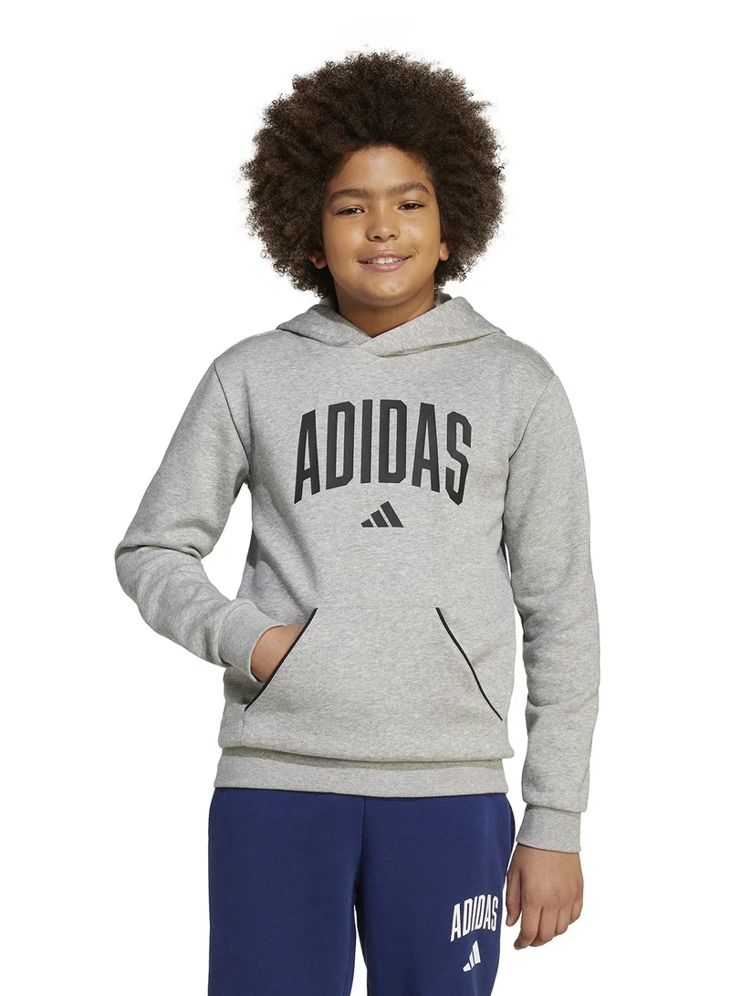 Adidas Seasonals Essentials Collegiate Typography Hoodie Kids
