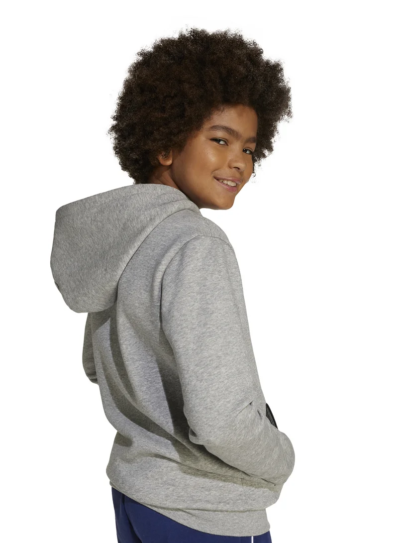 Adidas Seasonals Essentials Collegiate Typography Hoodie Kids