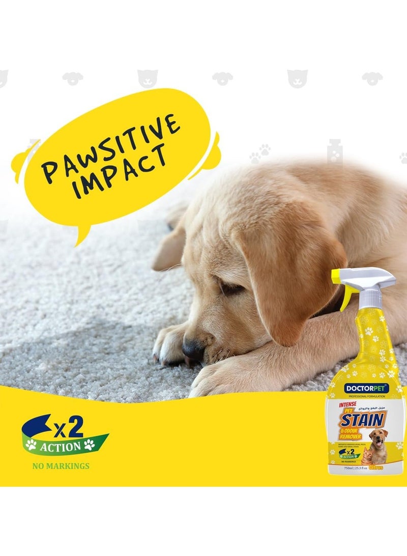 DoctorPet Stain and Odour Remover Citrus - Powerful Pet Odor Eliminator, Stain Cleaner, Natural Citrus Formula, Enzyme-Based for Carpets and Upholstery 750ml - Image 3