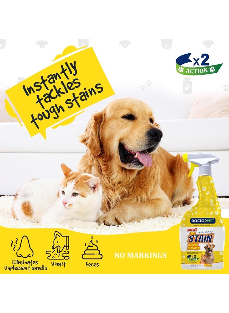DoctorPet Stain and Odour Remover Citrus - Powerful Pet Odor Eliminator, Stain Cleaner, Natural Citrus Formula, Enzyme-Based for Carpets and Upholstery 750ml - Image 4