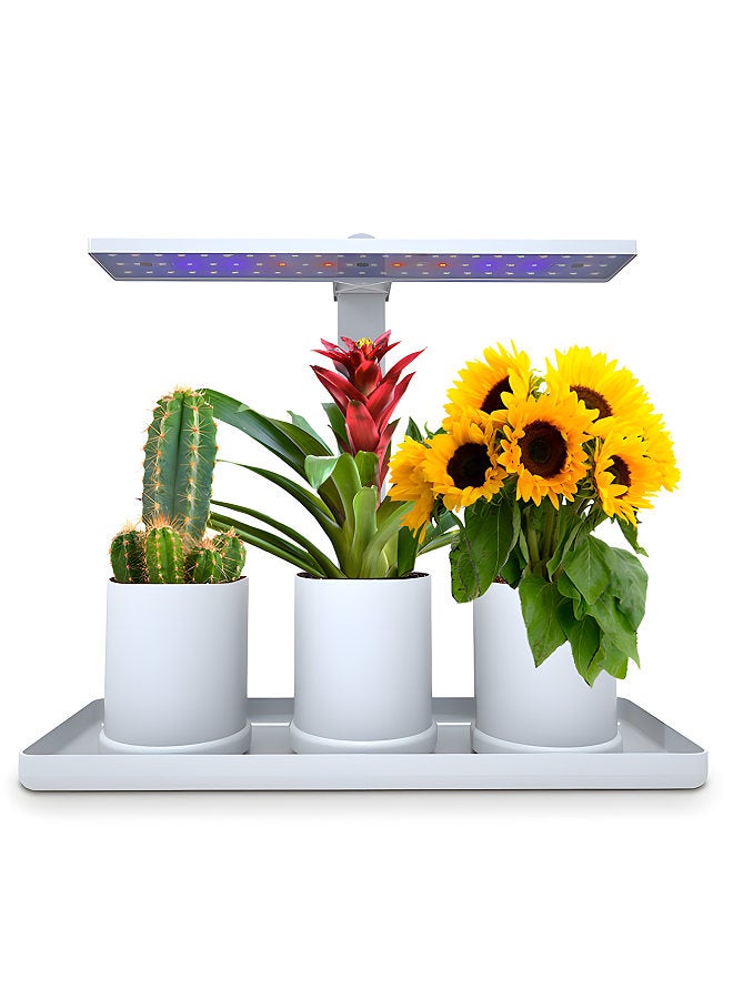 Generic Desk Grow Lights for Indoor Plants Full Spectrum Desk LED Plant Light with 3/9/12H Auto Timer Height Adjustable 10W 4 Dimmable Brightness Table Top Grow Light for Seedlings Flower Fruit  - Image 1