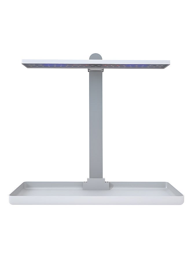 Generic Desk Grow Lights for Indoor Plants Full Spectrum Desk LED Plant Light with 3/9/12H Auto Timer Height Adjustable 10W 4 Dimmable Brightness Table Top Grow Light for Seedlings Flower Fruit  - Image 5