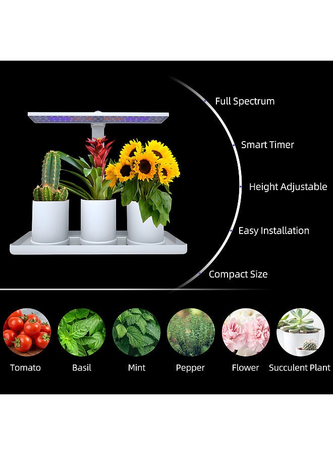 Generic Desk Grow Lights for Indoor Plants Full Spectrum Desk LED Plant Light with 3/9/12H Auto Timer Height Adjustable 10W 4 Dimmable Brightness Table Top Grow Light for Seedlings Flower Fruit  - Image 4