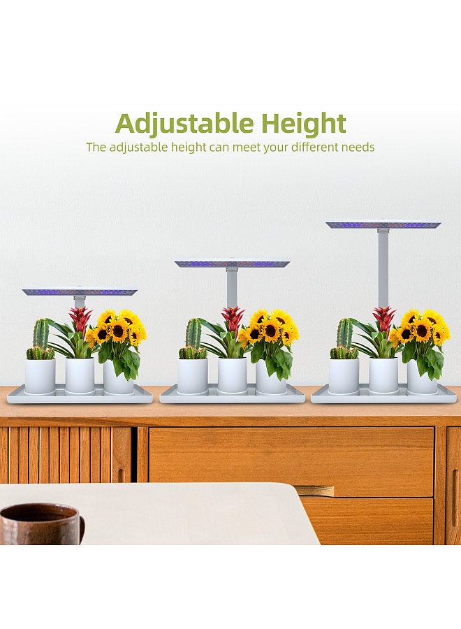 Generic Desk Grow Lights for Indoor Plants Full Spectrum Desk LED Plant Light with 3/9/12H Auto Timer Height Adjustable 10W 4 Dimmable Brightness Table Top Grow Light for Seedlings Flower Fruit  - Image 2
