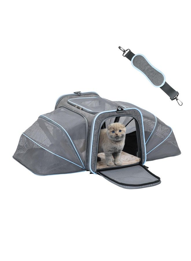 Petsfit Expandable Cat Carriers Airline Approved, 16"X10"X9" Small Dog Carrier SoftSided Portable Washable Pet Travel Carrier With Two Extension For Kitten,Rabbit, Puppy, Small Animal  - Image 1