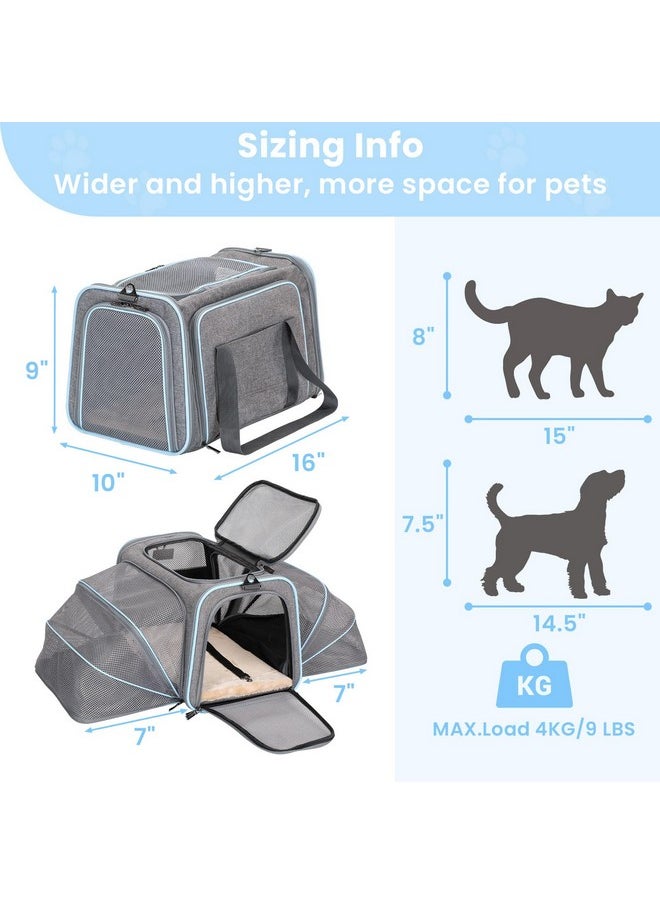 Petsfit Expandable Cat Carriers Airline Approved, 16"X10"X9" Small Dog Carrier SoftSided Portable Washable Pet Travel Carrier With Two Extension For Kitten,Rabbit, Puppy, Small Animal  - Image 2