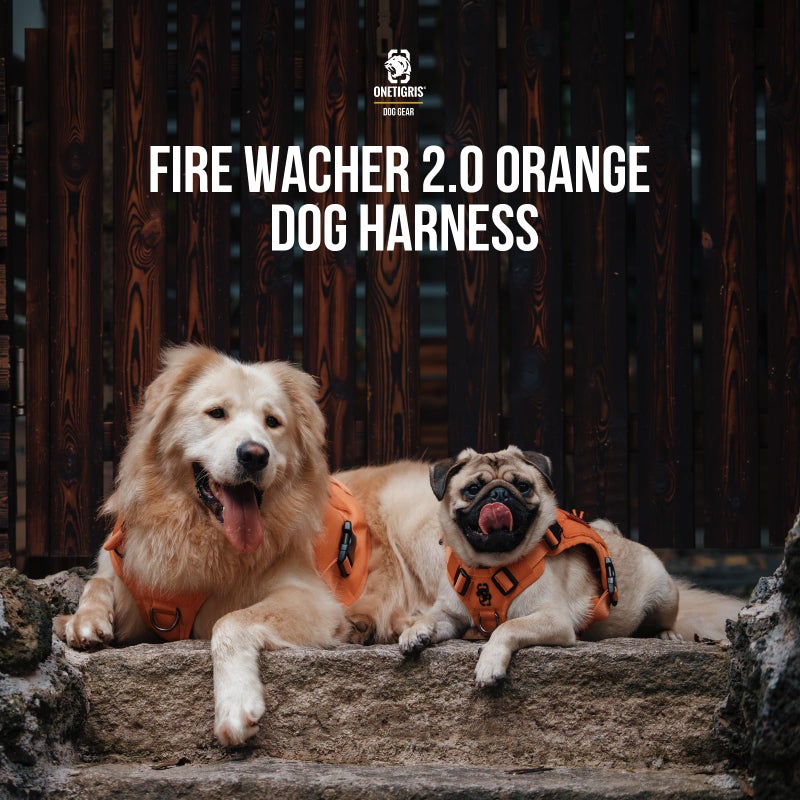 OneTigris Tactical Dog Harness Vest,No-Pull Service Dog Vest with Hook & Loop Panels,Adjustable Dog Vest Harness for Walking Hiking Training(Orange,M) - Image 5