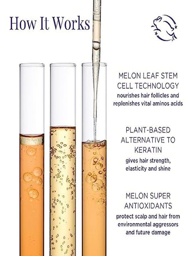 مينينغفول بيوتي نظام العناية بالشعر المقاوم لعلامات تقدم السن من مينينجفول بيوتي - Image 4