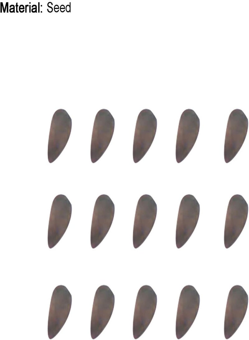 جي جوت بذور نباتية، كيس واحد من البذور، غير معدلة وراثيًا، عالية الغلة، بذور لوفا أسطوانية صغيرة غزيرة الإنتاج للمنزل - بذور - Image 5