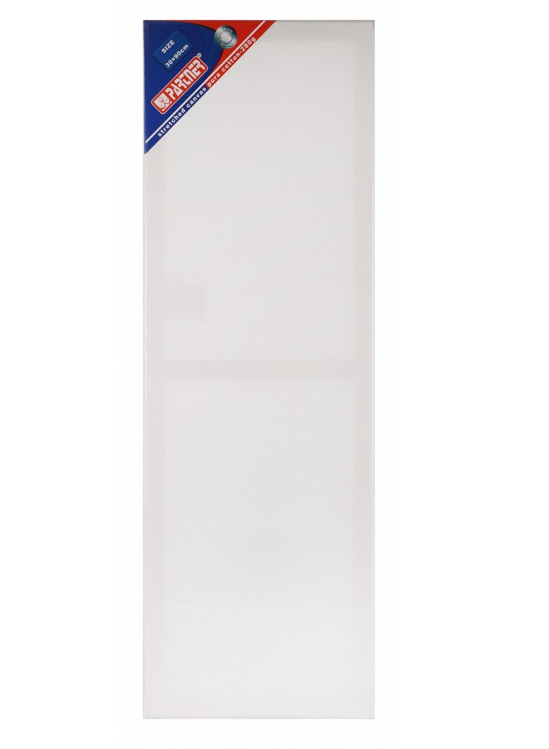 PARTNER لوحة قماش مشدودة بحجم 30x90 سم وسمك 280 جرام في المتر المربع - Image 1