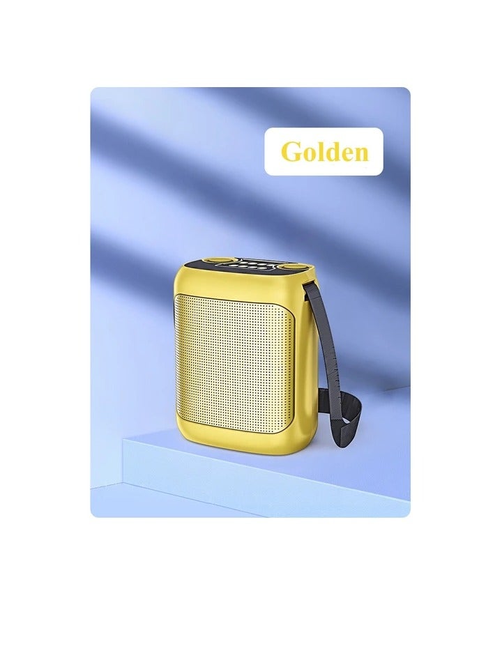 YS Outdoor Karaoke Straps Speaker with Dual UHF Wireless Bluetooth Mic Speaker with Microphone - Image 4