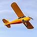 HobbyZone Champ Anniversary Special Edition 515mm BNF Basic with Safe Select HBZ04950 - Image 4