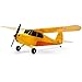 HobbyZone Champ Anniversary Special Edition 515mm BNF Basic with Safe Select HBZ04950 - Image 2