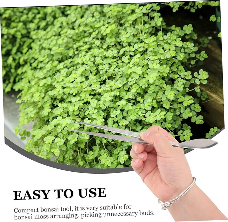 5 Pcs Stainless Steel Bonsai Tweezers Long Plant Craft Tool Set - Image 5