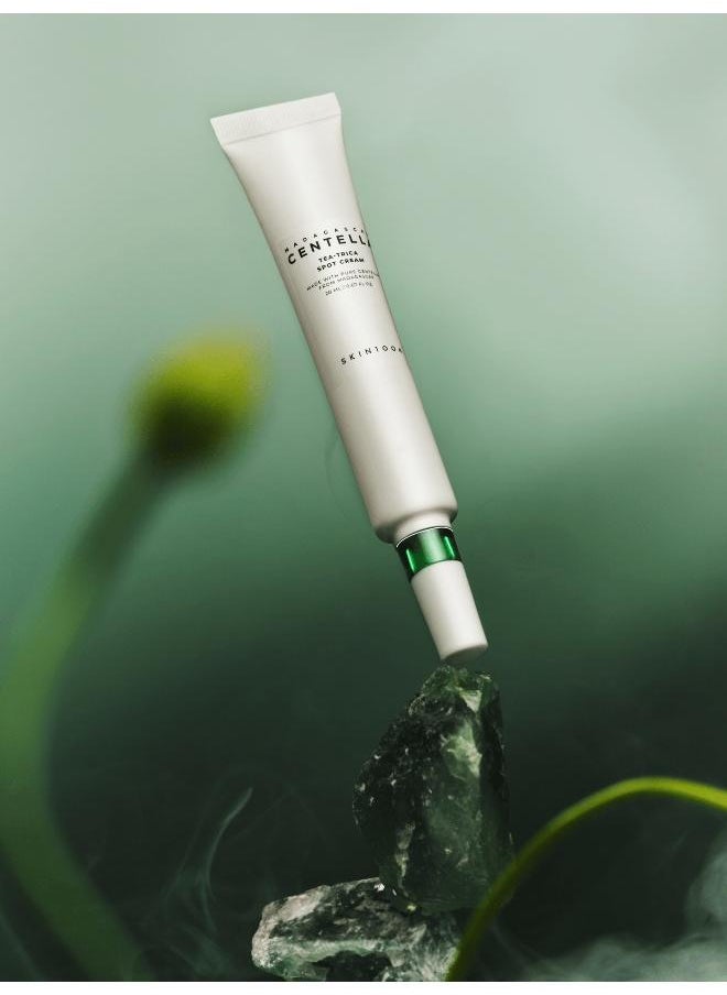 skin1004 - SKIN1004 Madagascar Centella Tea-Trica Spot Cream 20ml - Image 1