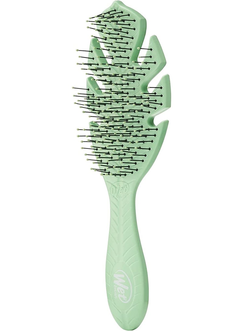 فرشاة فك تشابك الشعر من جو جرين، باللون الأخضر - Image 1