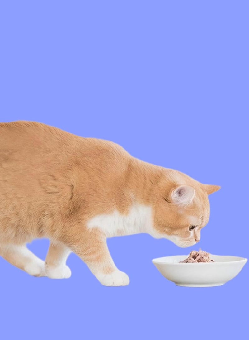 Kit Cat (24 packs) wet cat food with mashed tuna flavor for small and large cats / 400 grams - Image 5