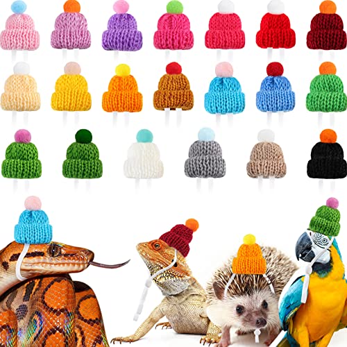 Mtlee 20 Pcs Mini Pet Snake Hat with Adjustable Elastic Chin Strap, Small Reptile Animal Hamster Knitted Hat for Pets Snake Ball Python Lizard Guinea Pig Chameleon Iguanas Accessories Decoration - Image 1