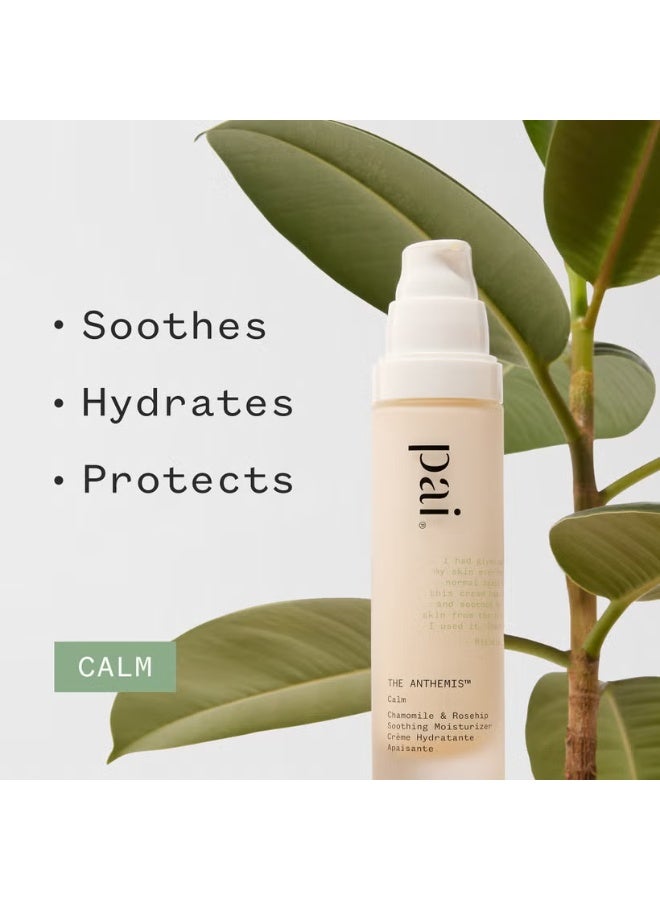 Pai Skincare The Anthemis™ Soothing Moisturiser 50ml - Image 4