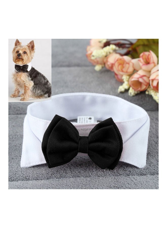 NIBEMINENT Adjustable Bow Tie Cute Collar Necktie Bowknot for Pet Black 10 x 10cm - Image 1
