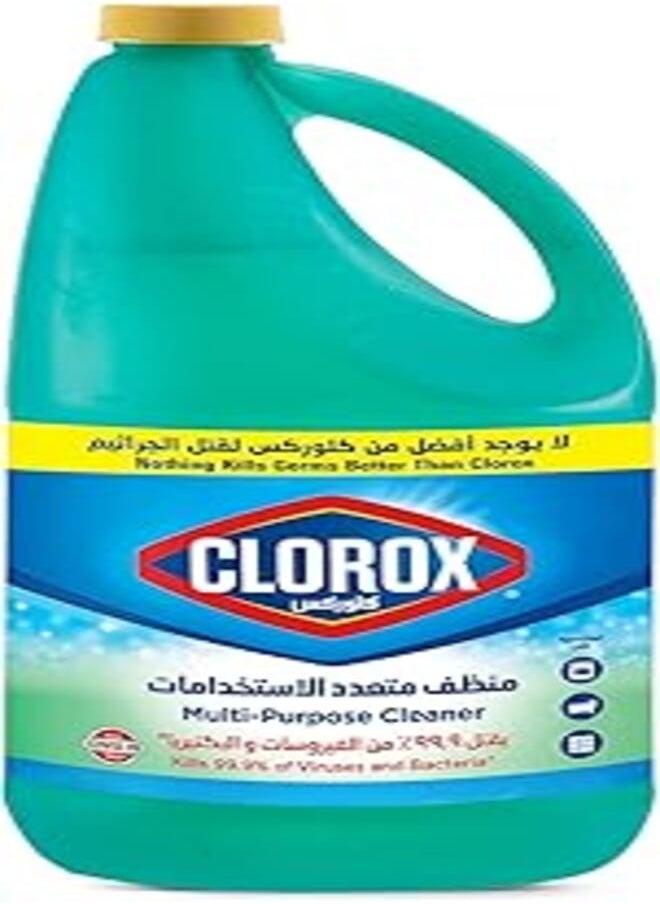 Clorox Clorox Multipurpose Cleaner 1.89L 