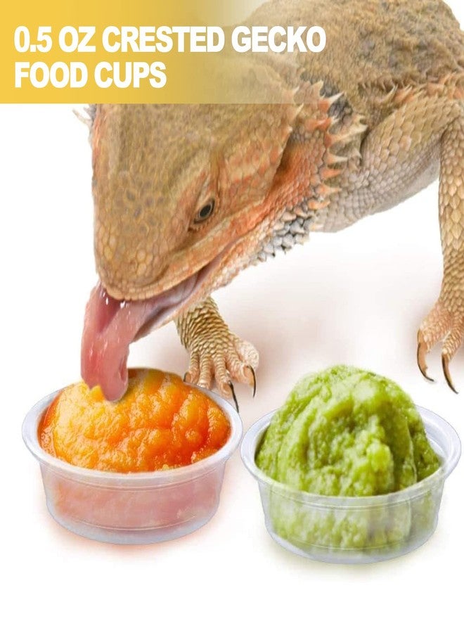 ANCKNE 200 pcs 0.5oz Crested Gecko Food and Water Feeding Cups | Reptile Feeder Bowls | for Lizard and Other Small Pet Ledge Accessories Supplies - Image 5