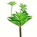 Shinoda Design Center Shinoda Design Center Green 6" Faux Succulent Stem 2pc Set, 6"  - Image 2