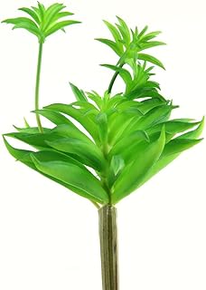 Shinoda Design Center Shinoda Design Center Green 6" Faux Succulent Stem 2pc Set, 6"  - Image 1
