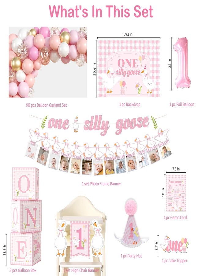 cocomigo One Silly Goose Birthday Decor Girl, Silly Goose Photo Banner Cake Topper Goose Balloon One High Chair Banner Goose Party Backdrop and Crown Goose First Birthday Decorations For Girl - Image 2