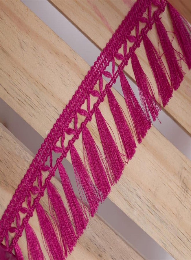 Anida lace Tassel Fringe Sequence Lace Border for Dresse, Saree, Lehenga, Dupatta, Bag, Craft and Decorations Colour (9 Metre) (Rani) - Image 1